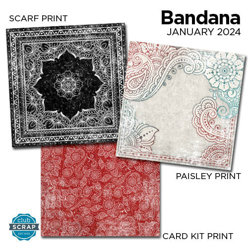 Bandana 12x12 Prints