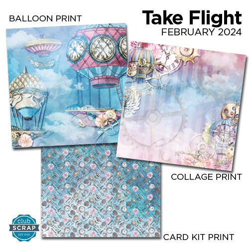 Take Flight 12x12 Prints