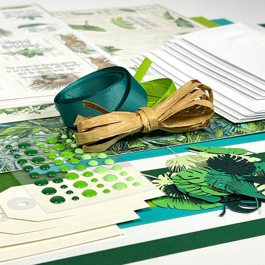 Rainforest Card Kit