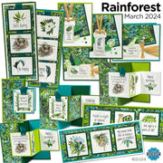 Rainforest Card Kit