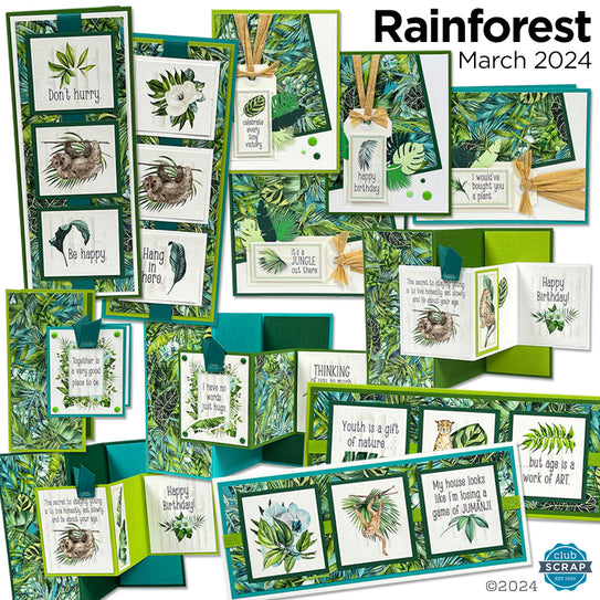 Rainforest Card Kit