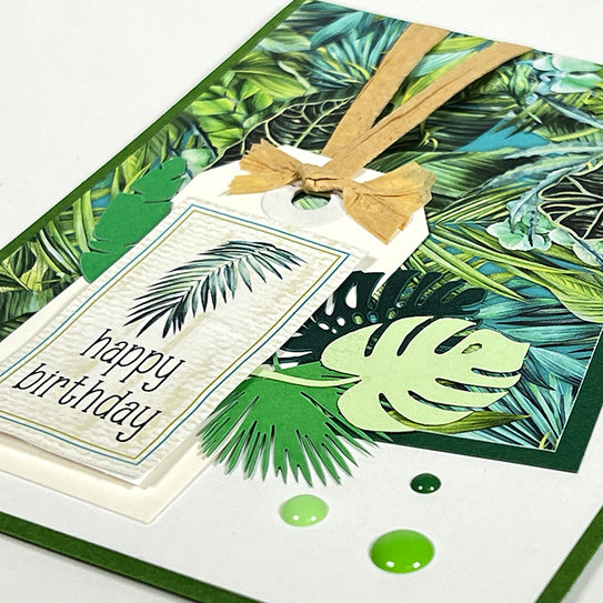 Rainforest Card Kit