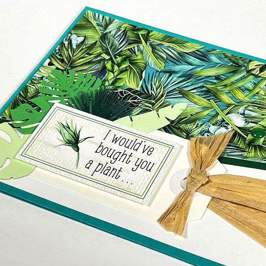 Rainforest Card Kit