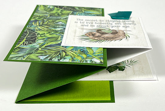 Rainforest Card Kit