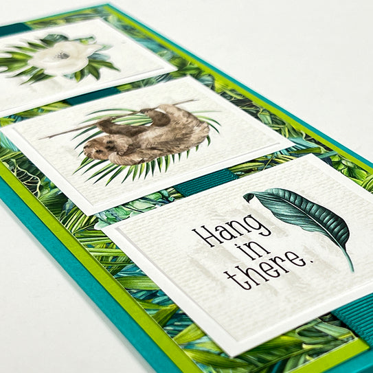 Rainforest Card Kit