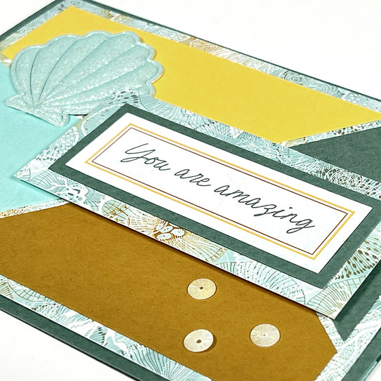 Reef Card Kit