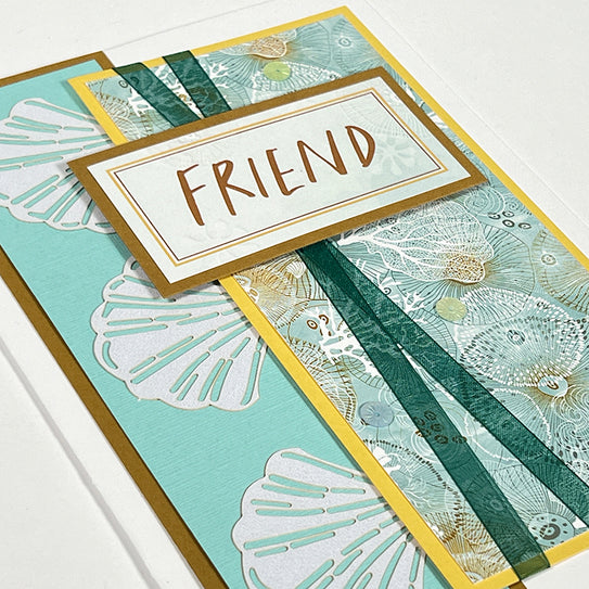 Reef Card Kit