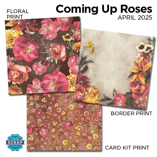 Coming Up Roses 12x12 Assorted Paper Pack