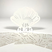 Beachcomber Laser Cut Shells