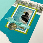 Beachcomber Page Ribbons