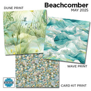 Beachcomber 12x12 Prints