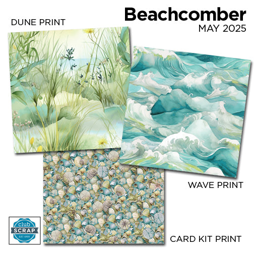 Beachcomber 12x12 Prints