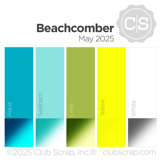 Beachcomber 12x12 Assorted Paper Pack