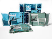 Soaring Eagle Card Formula
