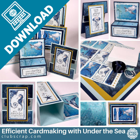 6 in 60 Card Formula - Under the Sea