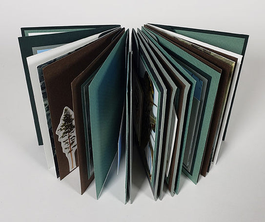 Mini Accordion Hinge Book Online Class