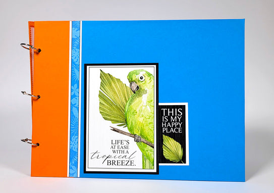 Easy Eight Album Online Class